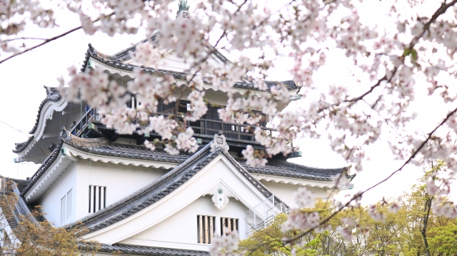 岡崎の武将　徳川家康メインビジュアル
